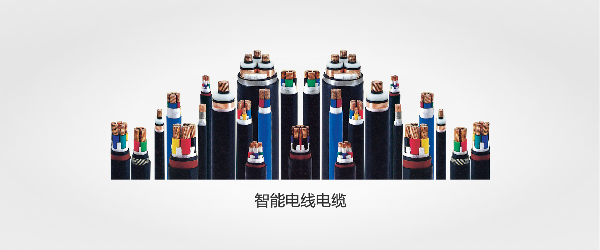 上海人民電器，電線(xiàn)電纜